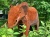 Скульптура «Elephant»
