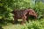 Скульптура «Elephant»