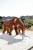 Скульптура «Elephant»